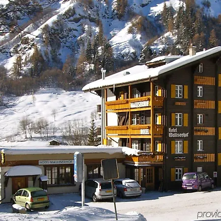 Walliserhof-leukerbad-therme 3*