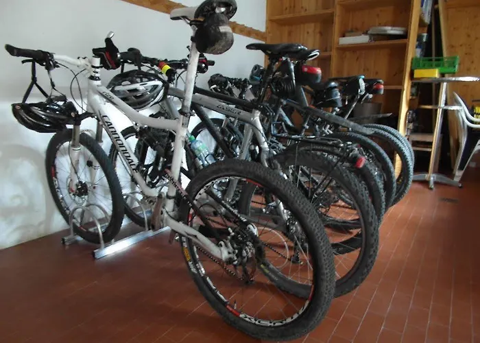 Walliserhof-leukerbad-therme Hotel 3*