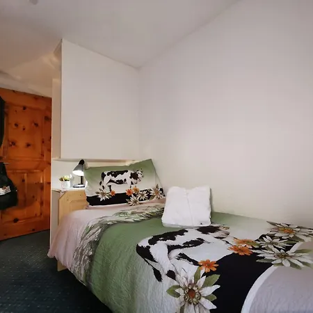 Walliserhof-leukerbad-therme 3* ロイカーバード